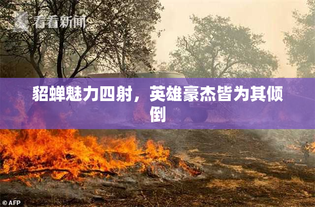 貂蝉魅力四射，英雄豪杰皆为其倾倒