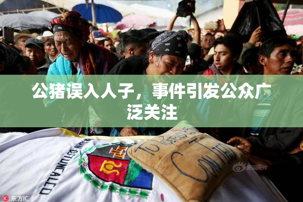 公猪误入人子，事件引发公众广泛关注