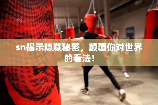 sn揭示隐藏秘密，颠覆你对世界的看法！