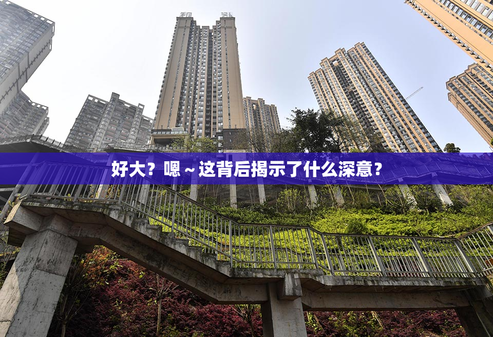 好大？嗯～这背后揭示了什么深意？