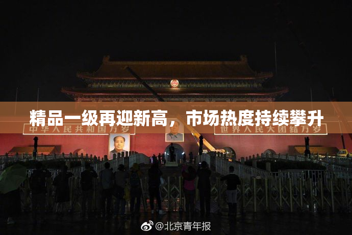 精品一级再迎新高，市场热度持续攀升