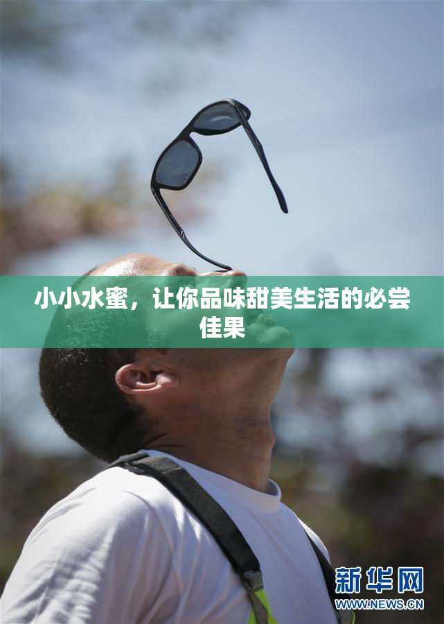 小小水蜜，让你品味甜美生活的必尝佳果