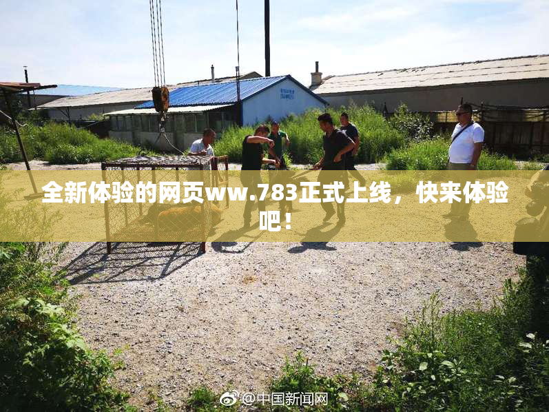 全新体验的网页ww.783正式上线，快来体验吧！