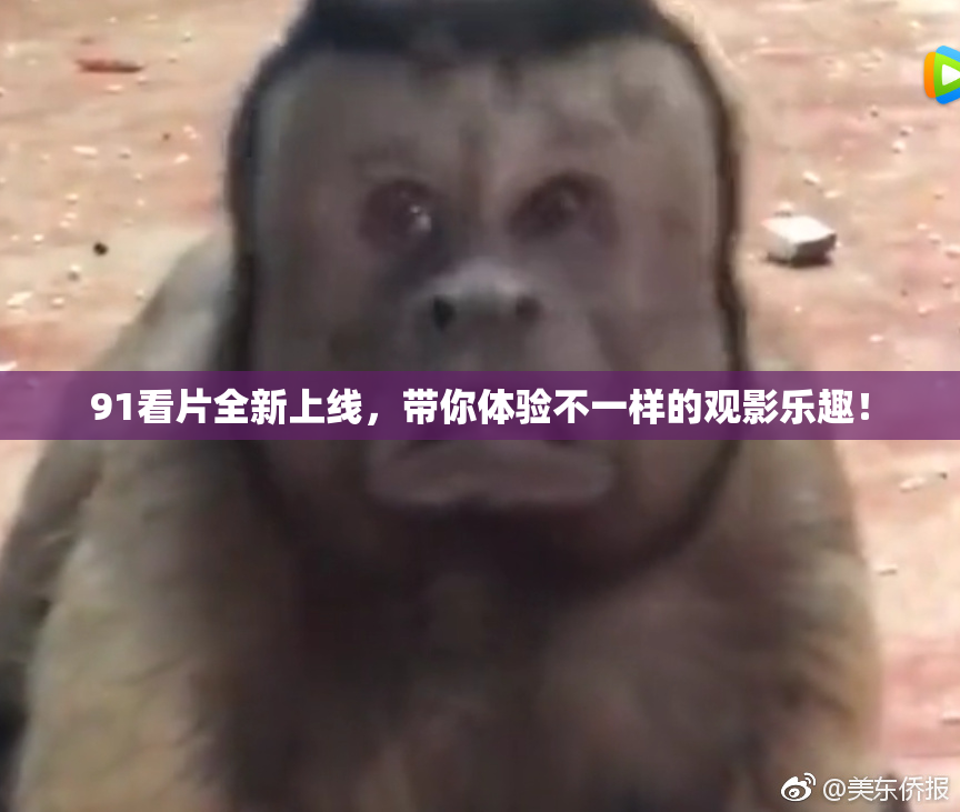 91看片全新上线，带你体验不一样的观影乐趣！