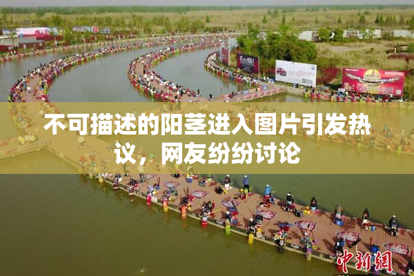 不可描述的阳茎进入图片引发热议，网友纷纷讨论