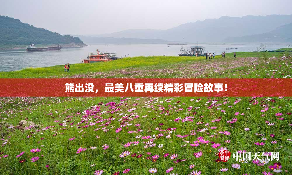 熊出没，最美八重再续精彩冒险故事！