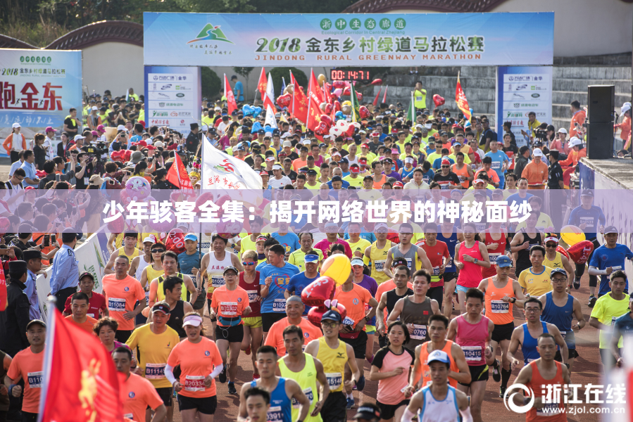 少年骇客全集：揭开网络世界的神秘面纱