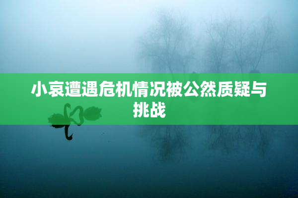 小哀遭遇危机情况被公然质疑与挑战