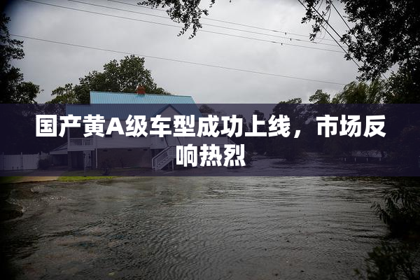国产黄A级车型成功上线，市场反响热烈