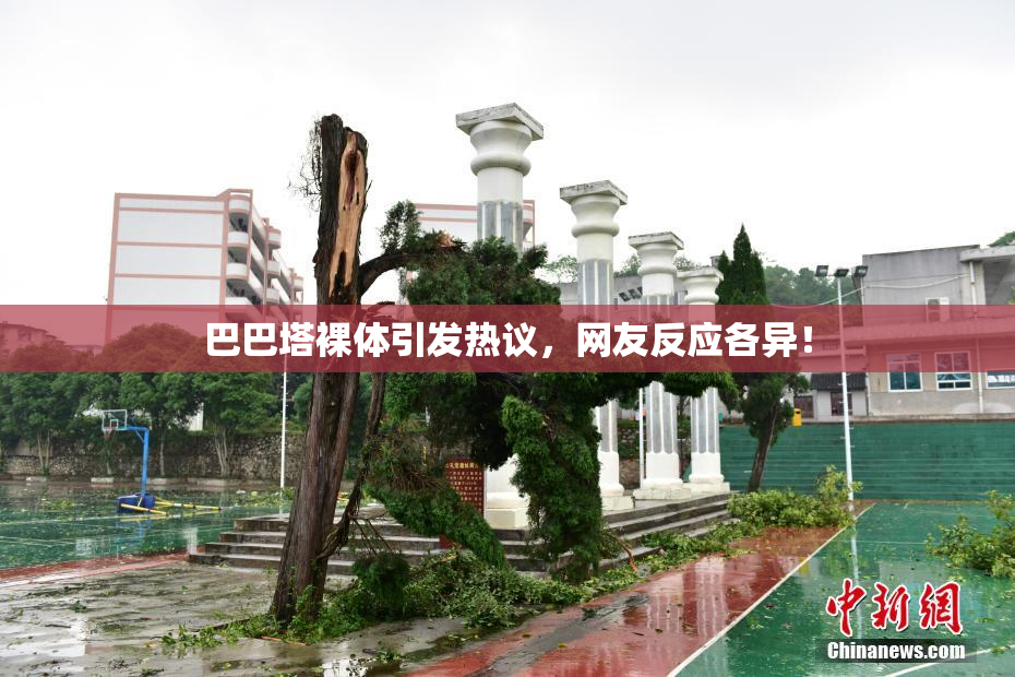 巴巴塔裸体引发热议，网友反应各异！