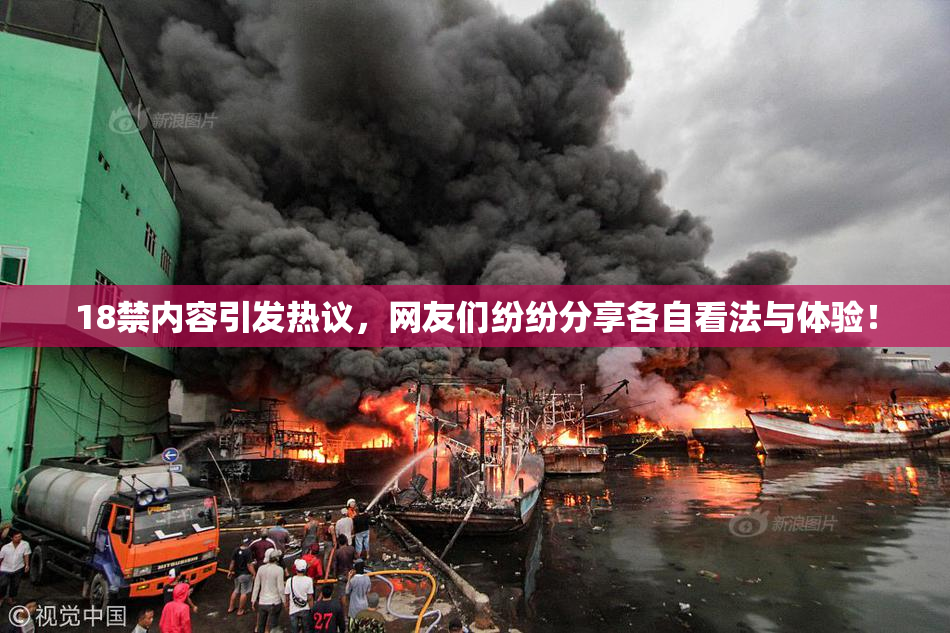 18禁内容引发热议，网友们纷纷分享各自看法与体验！