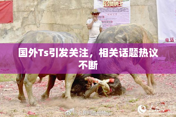 国外Ts引发关注，相关话题热议不断