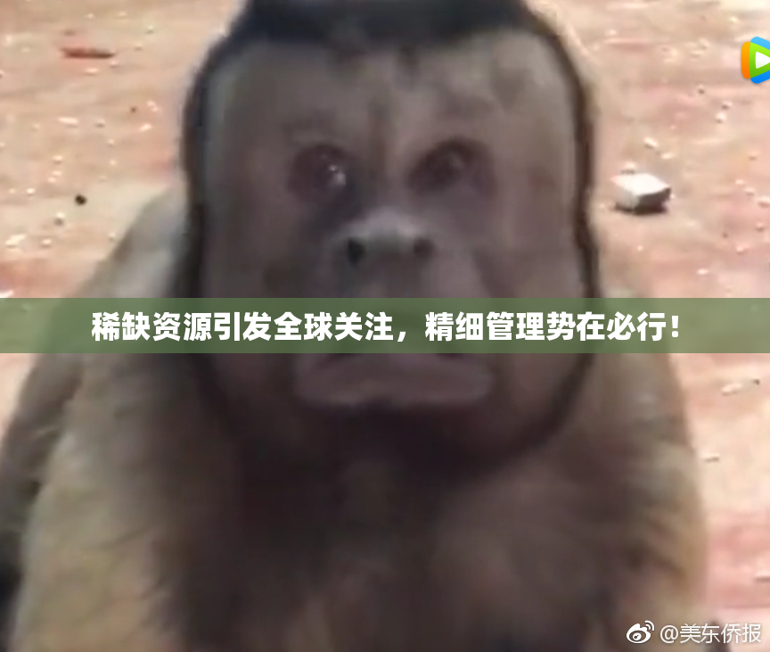 稀缺资源引发全球关注，精细管理势在必行！