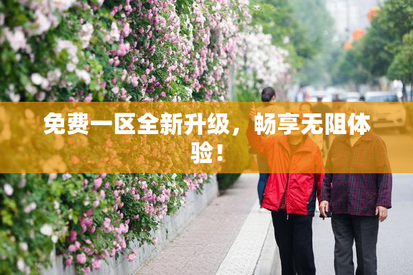 免费一区全新升级，畅享无阻体验！