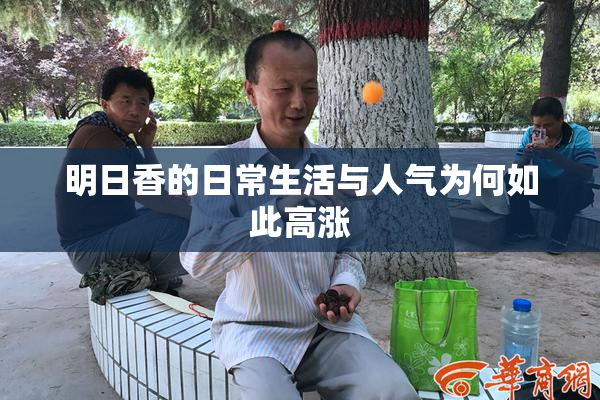明日香的日常生活与人气为何如此高涨