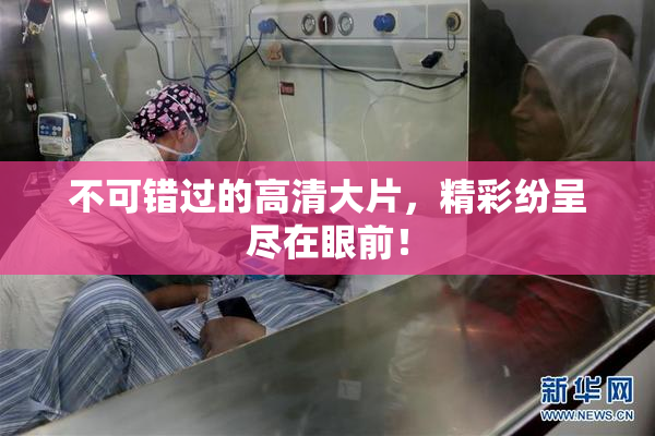 不可错过的高清大片，精彩纷呈尽在眼前！