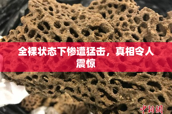 全裸状态下惨遭猛击，真相令人震惊