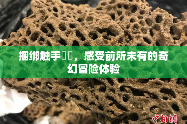 捆绑触手❌‌，感受前所未有的奇幻冒险体验