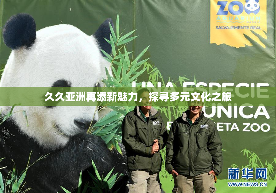 久久亚洲再添新魅力，探寻多元文化之旅