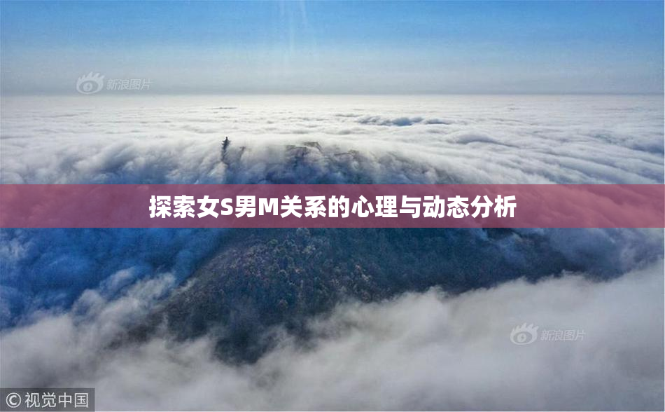 探索女S男M关系的心理与动态分析