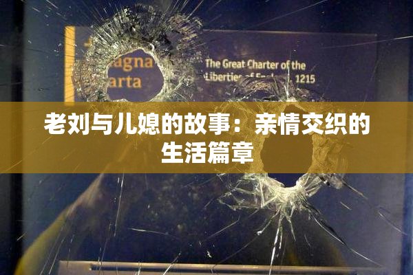老刘与儿媳的故事：亲情交织的生活篇章