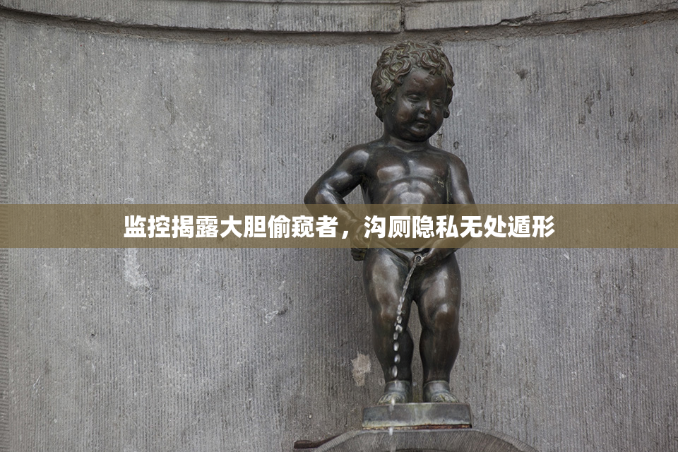 监控揭露大胆偷窥者，沟厕隐私无处遁形