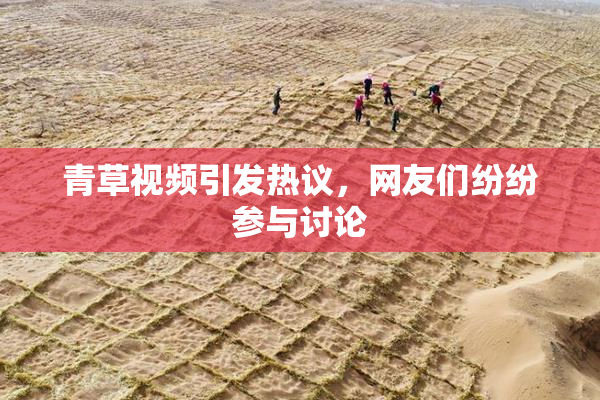青草视频引发热议，网友们纷纷参与讨论