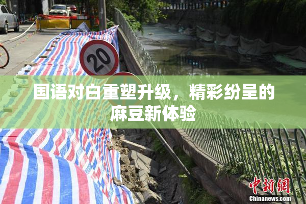 国语对白重塑升级，精彩纷呈的麻豆新体验