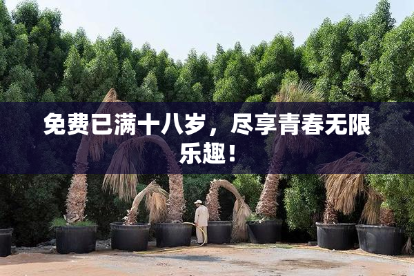 免费已满十八岁，尽享青春无限乐趣！