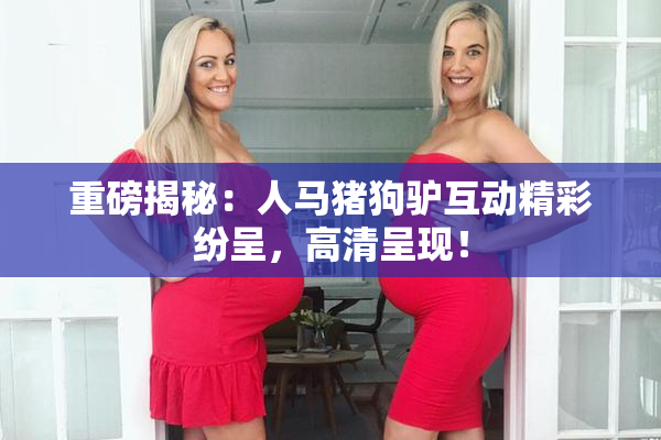 重磅揭秘：人马猪狗驴互动精彩纷呈，高清呈现！