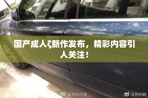 国产成人ζ新作发布，精彩内容引人关注！