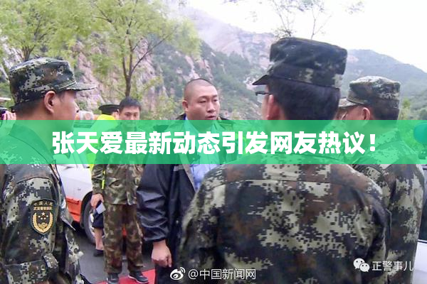 张天爱最新动态引发网友热议！