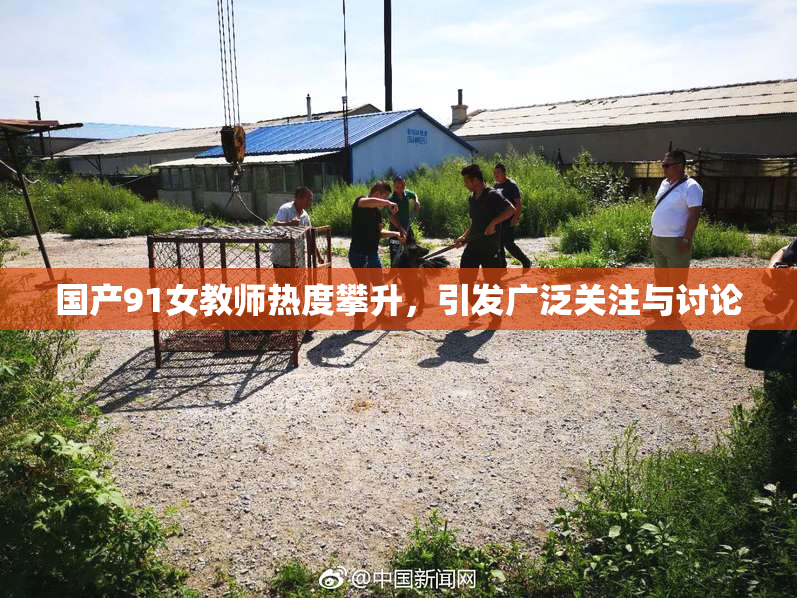 国产91女教师热度攀升，引发广泛关注与讨论