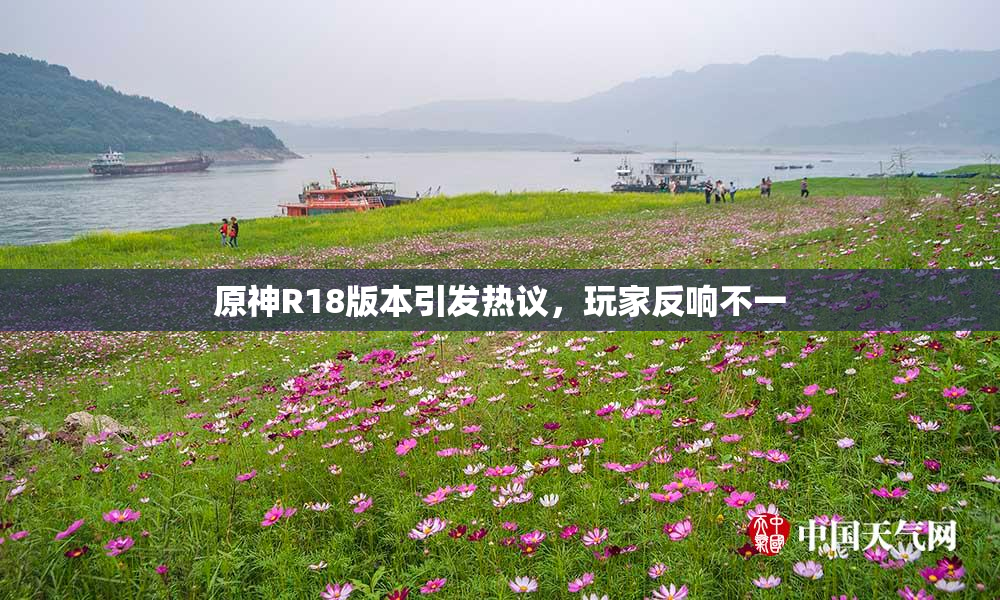 原神R18版本引发热议，玩家反响不一