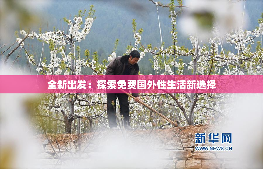 全新出发：探索免费国外性生活新选择