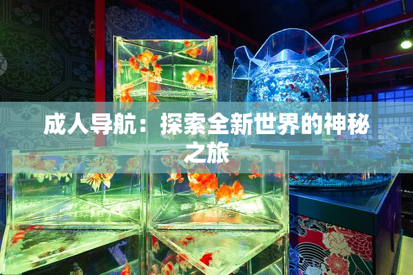 成人导航：探索全新世界的神秘之旅