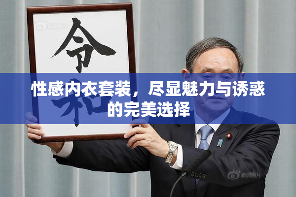 性感内衣套装，尽显魅力与诱惑的完美选择