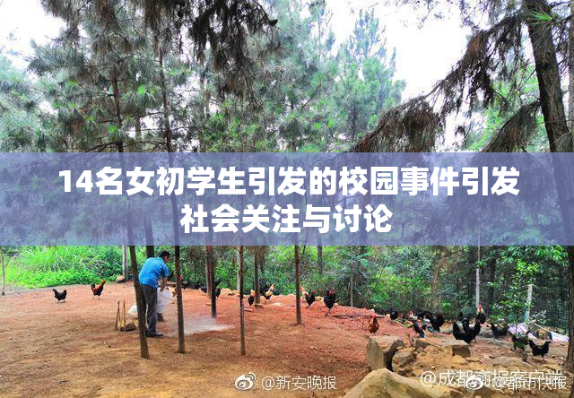 14名女初学生引发的校园事件引发社会关注与讨论