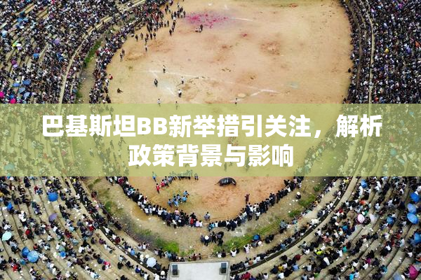 巴基斯坦BB新举措引关注，解析政策背景与影响