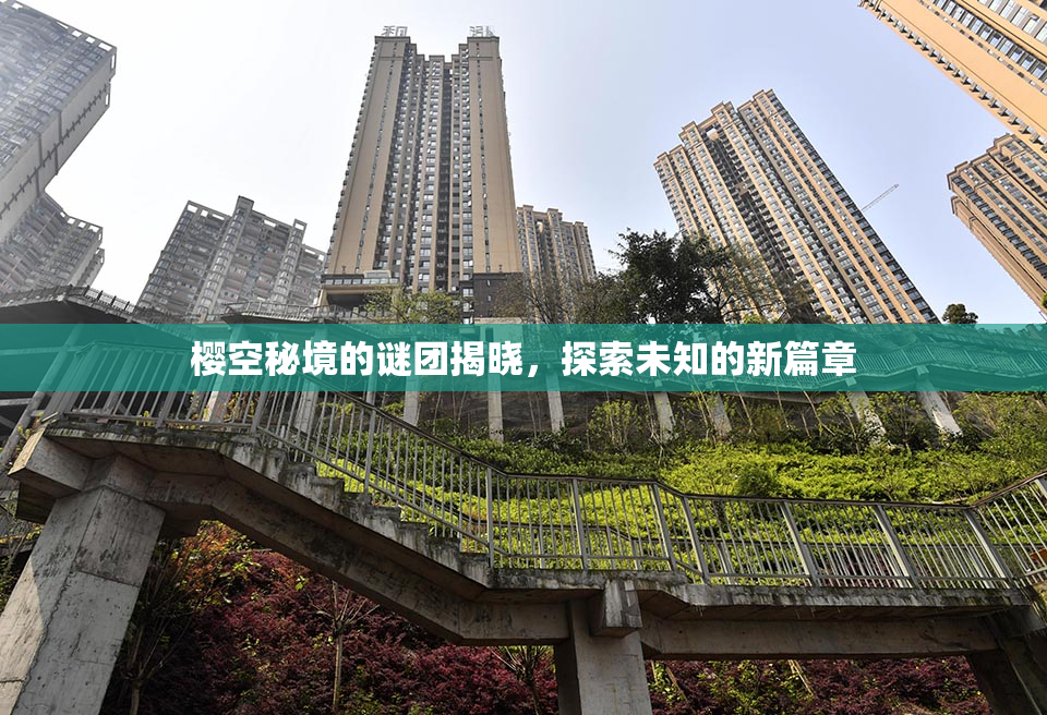 樱空秘境的谜团揭晓，探索未知的新篇章
