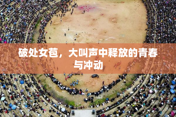 破处女苞，大叫声中释放的青春与冲动