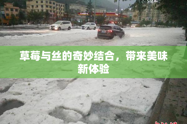草莓与丝的奇妙结合，带来美味新体验