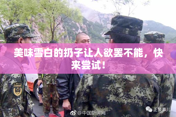 美味雪白的扔子让人欲罢不能，快来尝试！