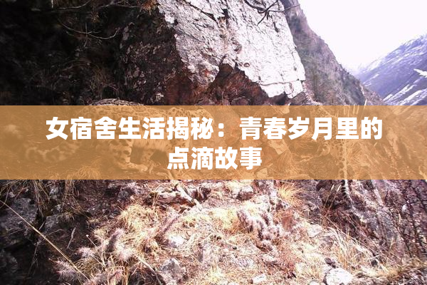 女宿舍生活揭秘：青春岁月里的点滴故事