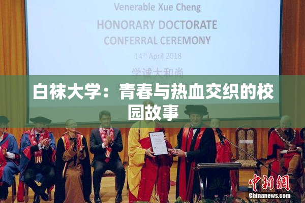 白袜大学：青春与热血交织的校园故事