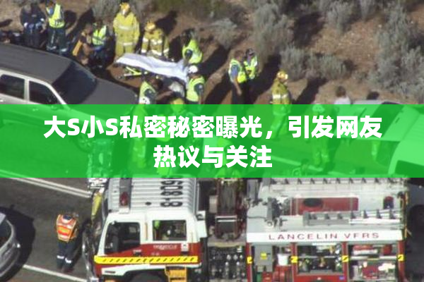 大S小S私密秘密曝光，引发网友热议与关注