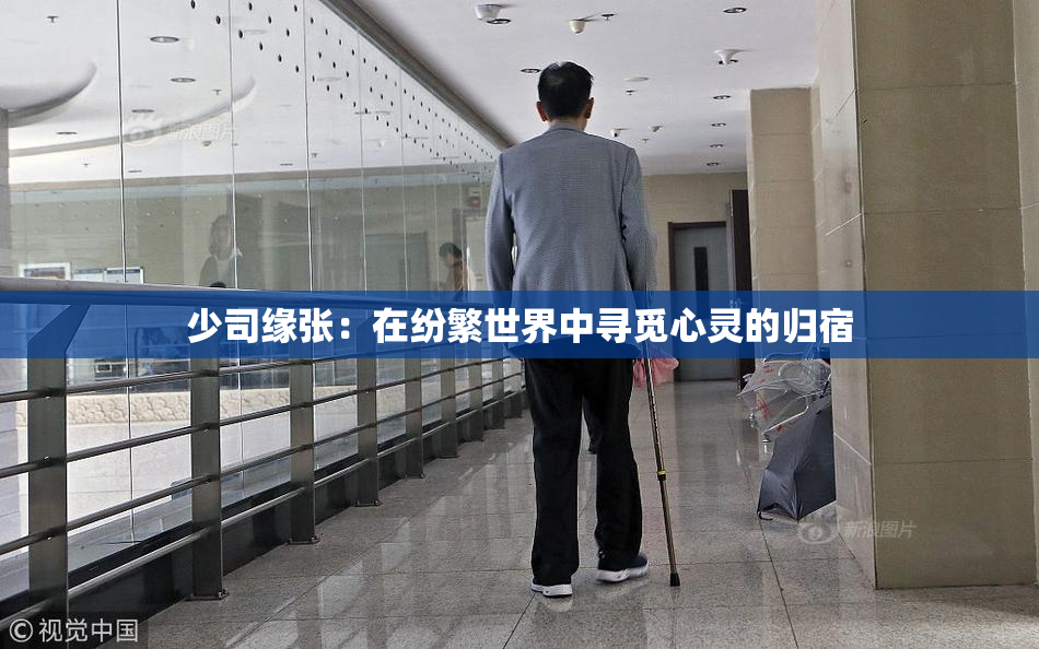 少司缘张：在纷繁世界中寻觅心灵的归宿