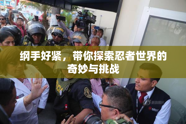 纲手好紧，带你探索忍者世界的奇妙与挑战