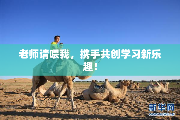 老师请喂我，携手共创学习新乐趣！