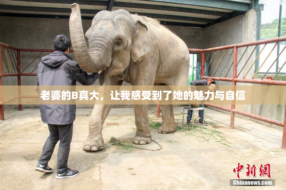 老婆的B真大，让我感受到了她的魅力与自信